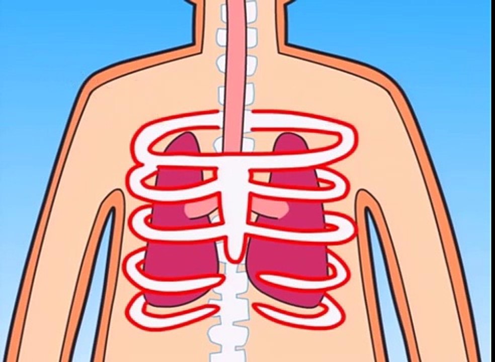 How Do My Lungs Work_