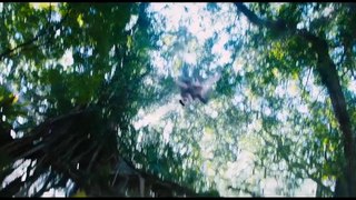 Jumanji_2__Welcome_to_the_Jungle_Trailer_in_HINDI