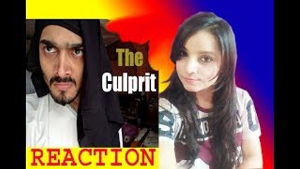 BB Ki Vines - The Culprit and please follow me