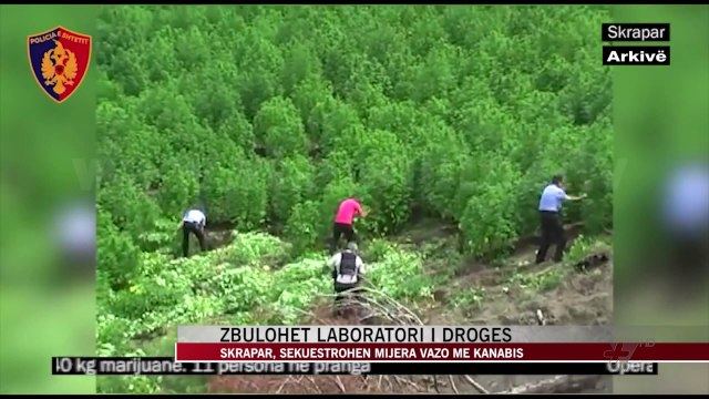 Skrapar, zbulohet laboratori i drogës - News, Lajme - Vizion Plus