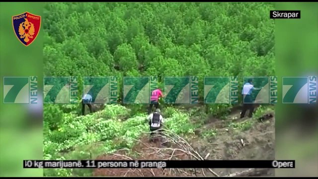 ZBULOHET NJE LABORATOR MODERN DROGE NE SKRAPAR - News, Lajme - Kanali 8
