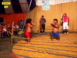 Championnat Du Monde De Boxe Des Nains 2017