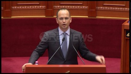 Ora News – Akuzat për diplomatët e huaj, Bushati: Basha e Berisha panik nga drejtësia