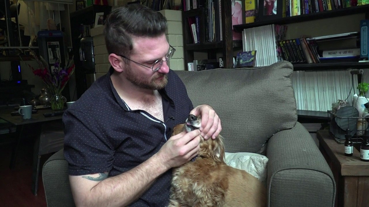 Cannabisöl - der letzte Schrei für Haustiere in den USA