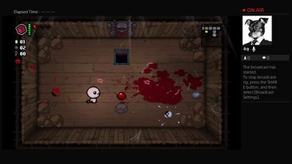 The binding of issac (3)