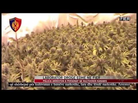 Zbulohet një tjetër laborator droge në Fier - News, Lajme - Vizion Plus