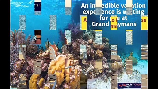 Private Yacht Charters Caymans - Boat Rental Caymans