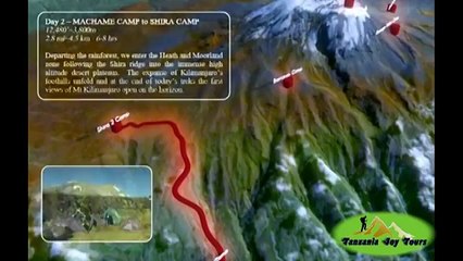 Kilimanjaro Machame Route with Tanzania Joy Tours