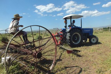 Yaşıtları Tatilde, Filiz ise 40 Derece Sıcakta Babasıyla Ot Topluyor