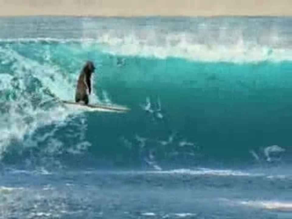 amv - Roi de la glisse