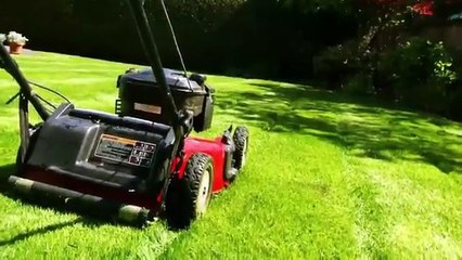 Cape Cod Landscapers