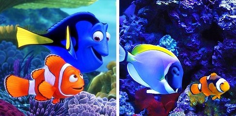 Cartoon Characters of Animals In Real Life