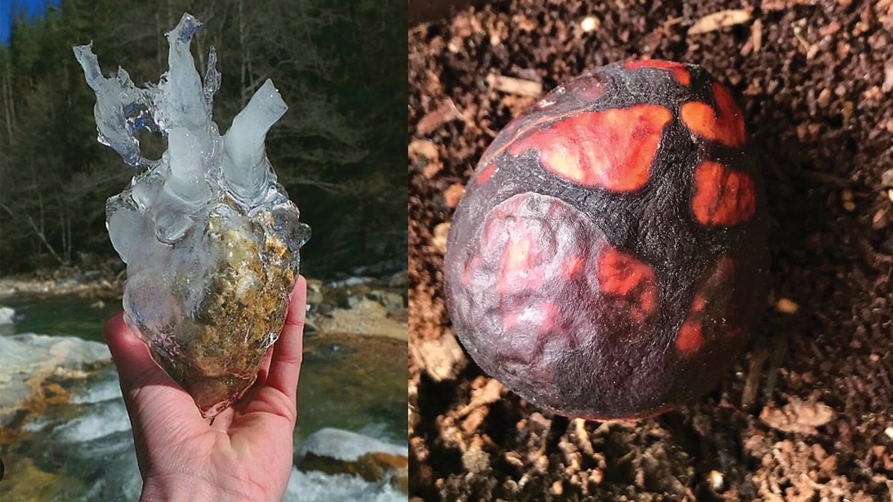 Incredible Pics That Will Make You Look Twice To Understand What You’re Seeing