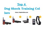 Top 4 Dog Shock Training Collars