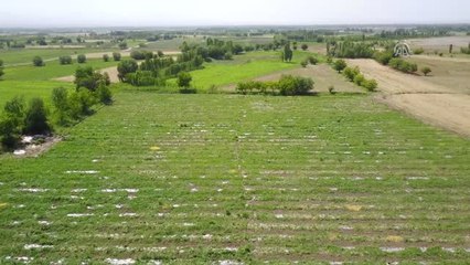 Doğu'nun Çukurovası"Nda Karpuz Mesaisi