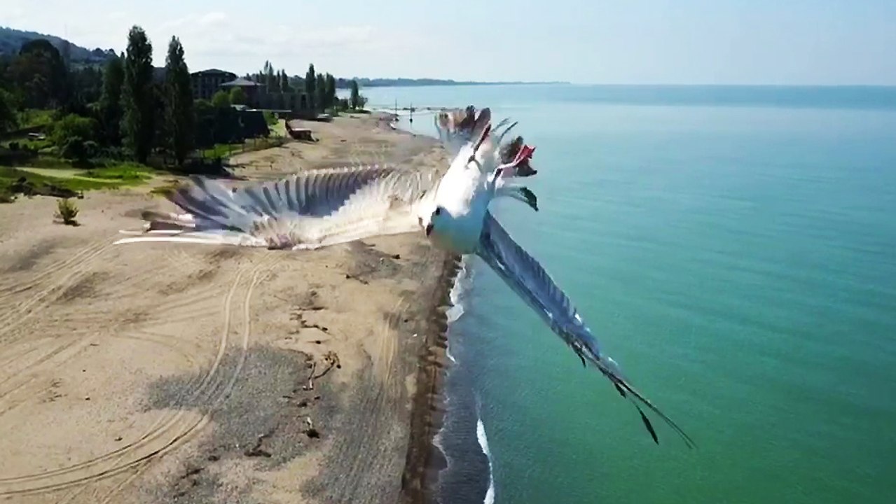 Mavic Pro vs Mouette