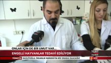 Boncuk için çare olabilecek bir merkez