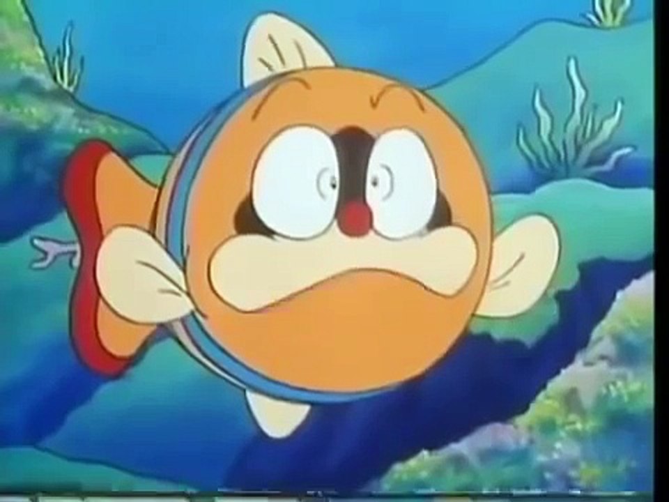 Apollon rocheux pokonyan chat lier damitié avec les dauphins après Victoire contre Attendue Tant sa c