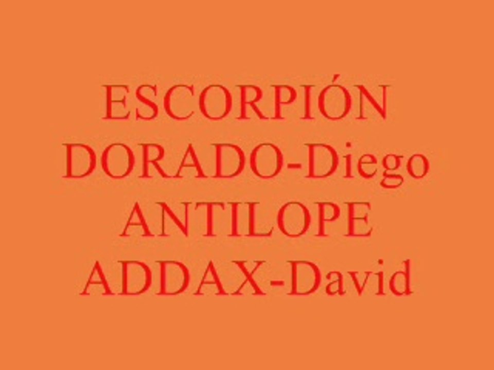 ANIMALES DEL DESIERTO2
