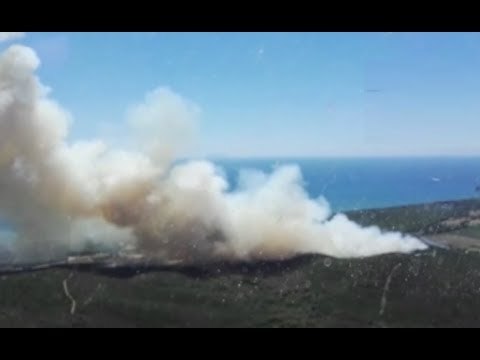 Castiglione della Pescaia (GR) - In fiamme una pineta sul litorale (05.07.17)