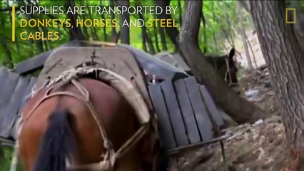 Repairing the Great Wall of China is a Dangerous Job | National Geographic