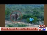 WATCH: Baby Elephant Playing Sliding Game In The Forest