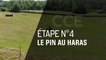 GRAND NATIONAL : LE MAG - CCE n°4 au Pin au Haras