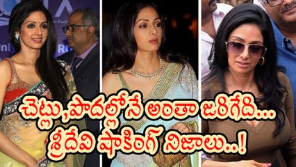 Sridevi Memorized her Career Starting days in film industry