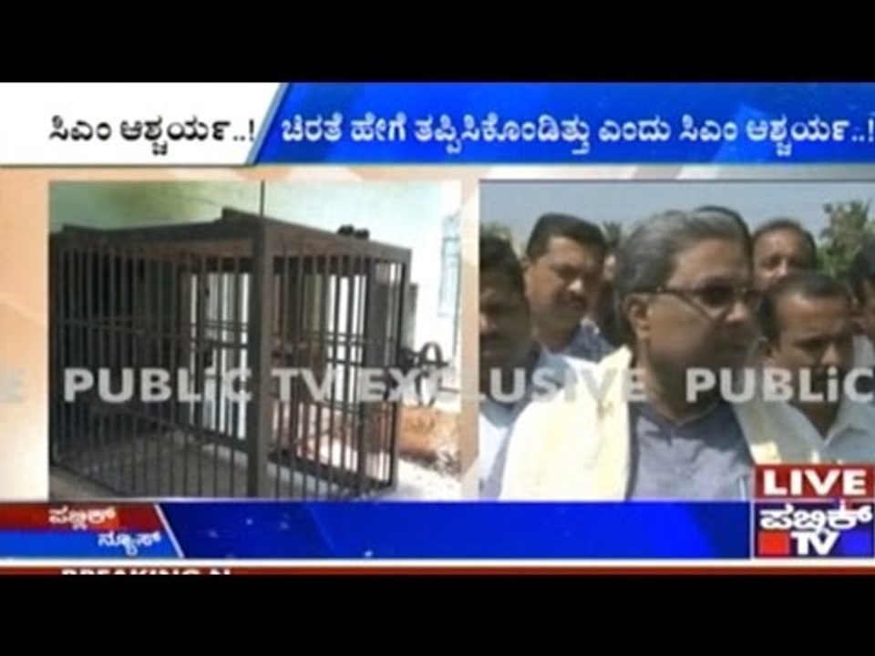 Caged Leopard Escaped From Cage