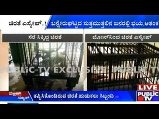 Leopard Escapes From Bannerghatta National Park