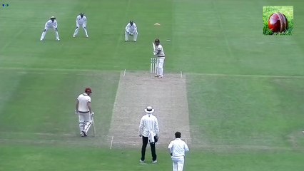 Mohammad Amir Bowled Trego Somerset County Cricket Club