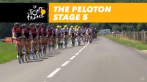 Peloton - Étape 5 / Stage 5 - Tour de France 2017