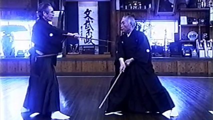 兵法二天一流 八代代見 米原亀生 Nitenichi ryu Yonehara Kameo