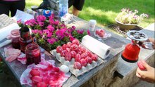ROMÂNAȘI din Cernăuți, Mihoreni, Oprișeni, Basarabia și din toată țara au venit la Iași, la Festivalul ”Românașul”