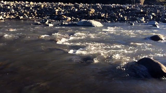 Rio Cachapoal (Reserva nacional Los Cipreses)