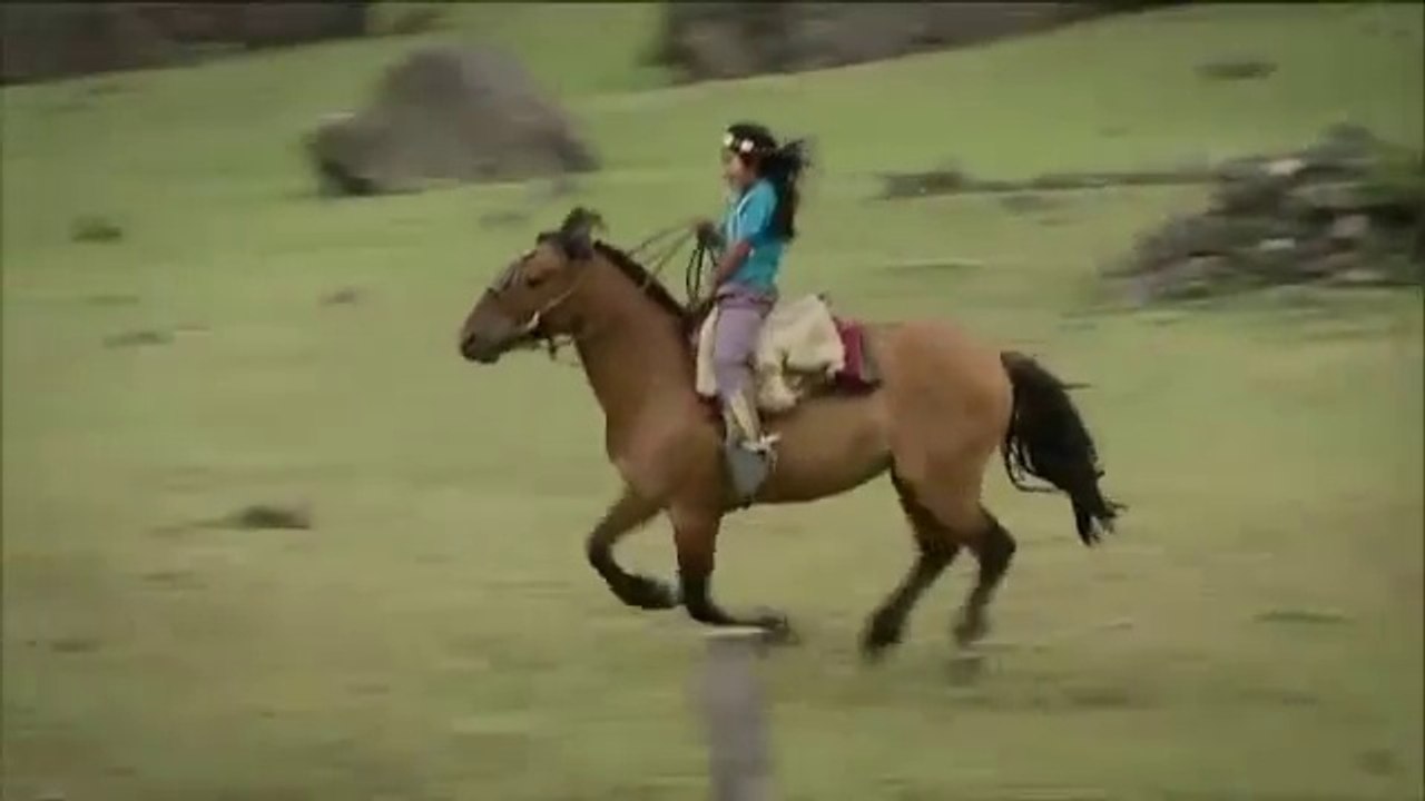 Libko - un niño pewenche