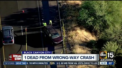 Wrong-way driver arrested after deadly I-17 crash
