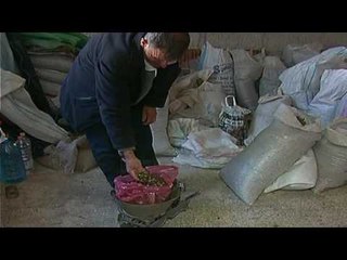 Jetë me sytë nga mali - Top Channel Albania - News - Lajme