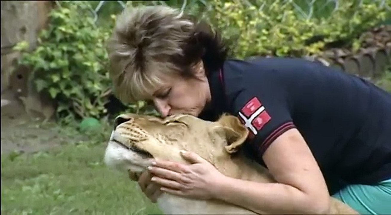 Lion attacks man at home