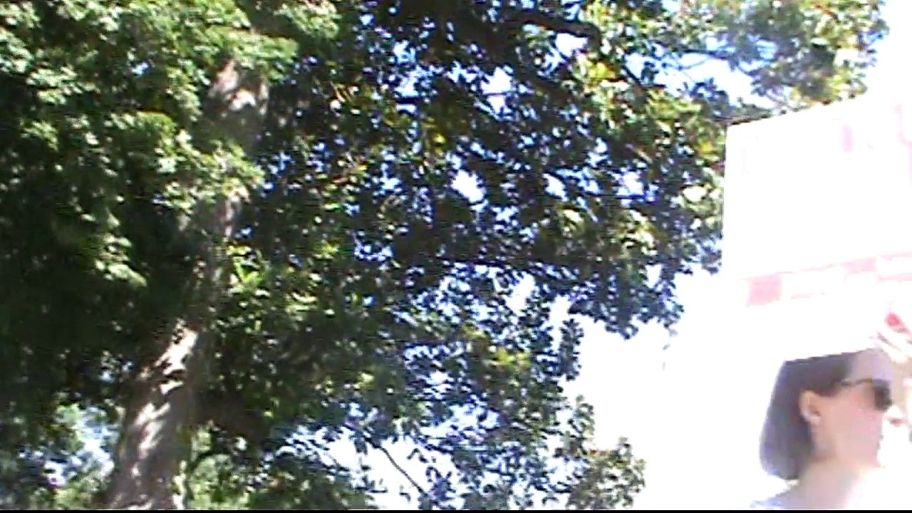 Protest Revive Section Five .