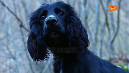 Ne Shtepine Tone, 18 Prill 2017, Pjesa 4 - Top Channel Albania - Entertainment Show