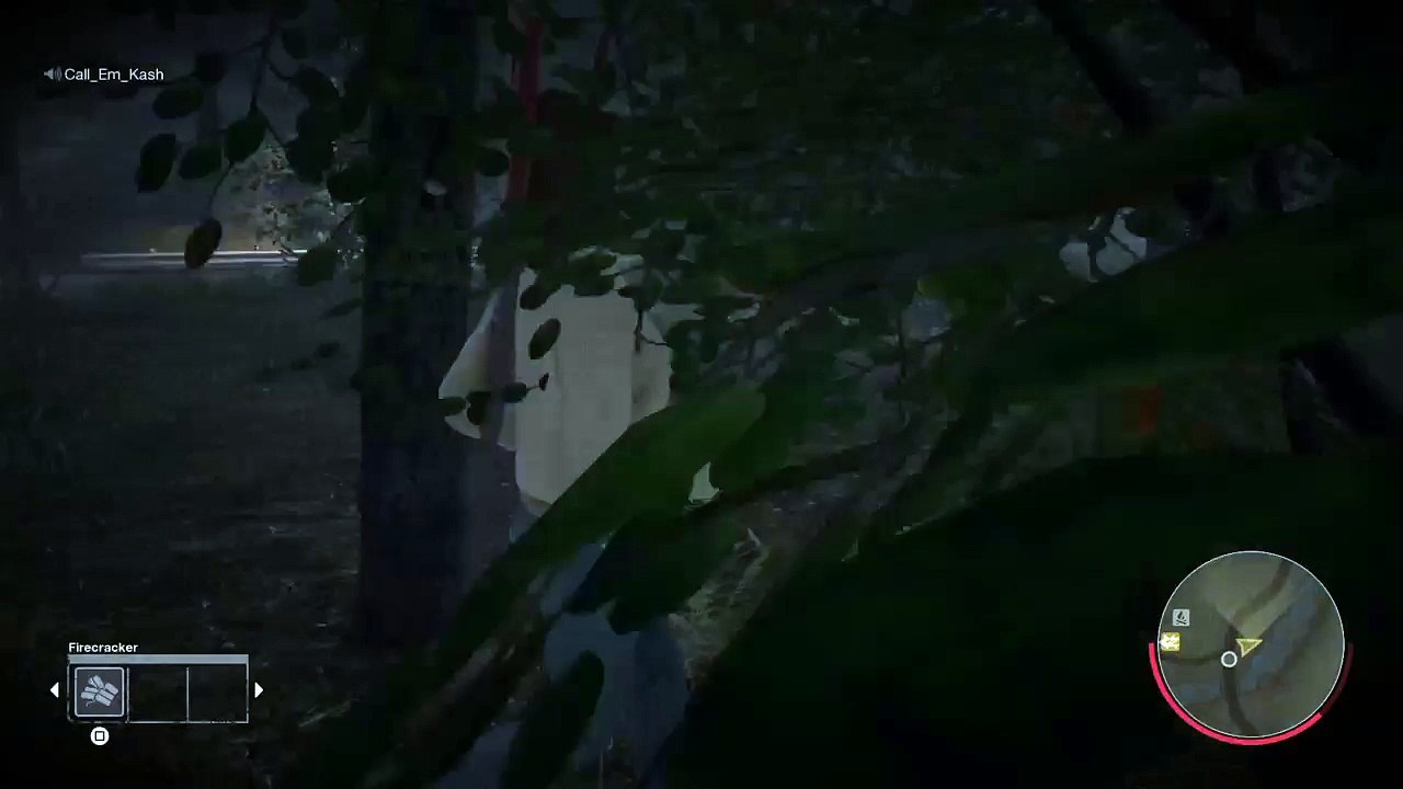 Rainbow Six Siege (35)