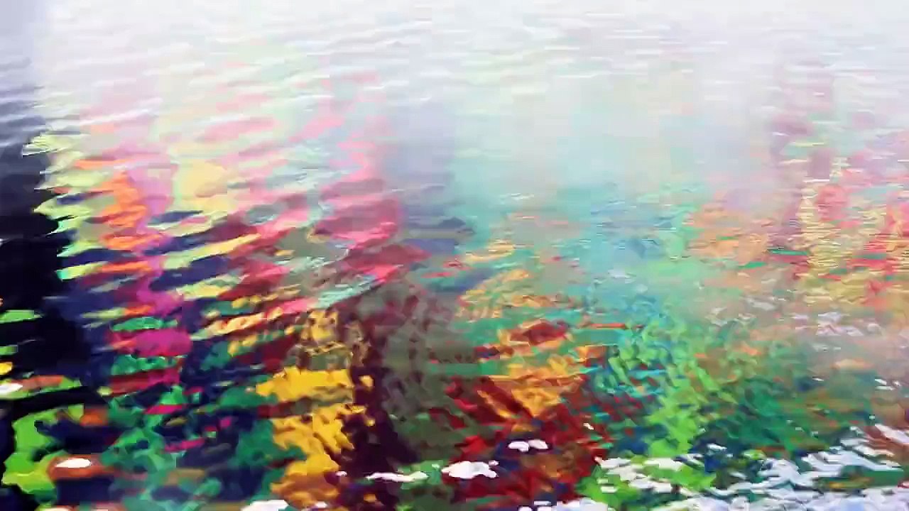 The York Difference Maker?