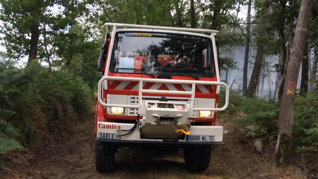 Fait-divers. Un feu brûle 1500 m2 de sous-bois