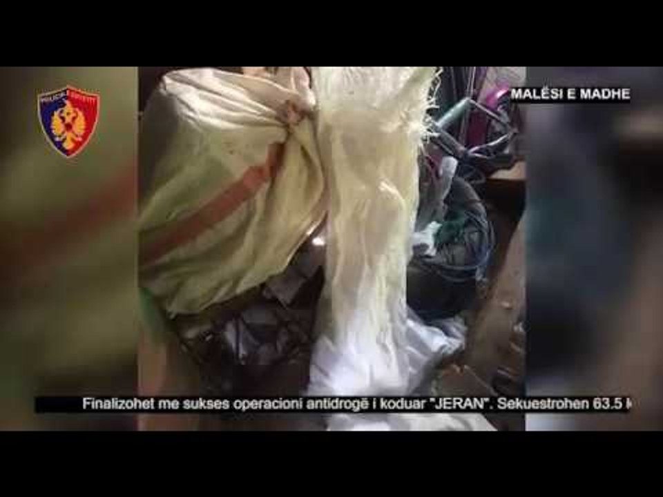 Shkodër - Arrestohet 34-vjeçari, iu gjetën në banesë 63.5 kg marijuanë