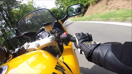 Balade SVS - 5 juillet 2017