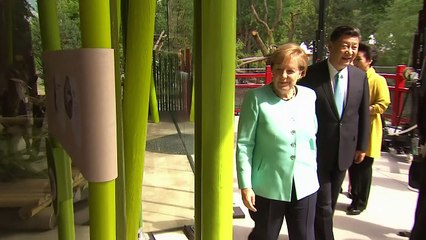 Xi and Merkel meet pandas at Berlin zoo