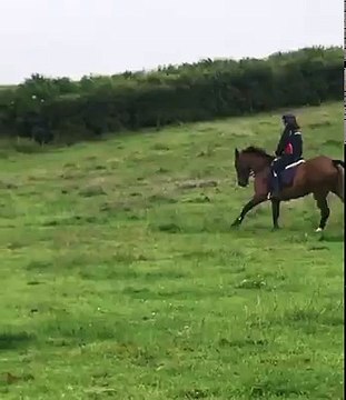 Un cycliste percute l'arrière d'une voiture qui s'arrête soudainement sur la route