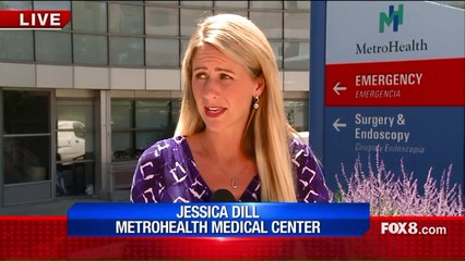 6-Year-Old Girl in Critical Condition After Dog Attacks Family