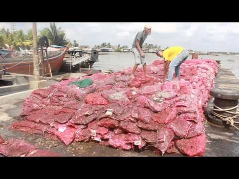 Pasokan Menipis, Harga Bawang Merah di Brebes Melonjak Naik - NET12